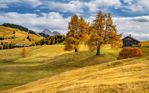 �1756359 �������(a): ����������:3840x2400